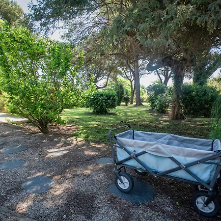 Les Romarins Casa de Férias Saint-Tropez