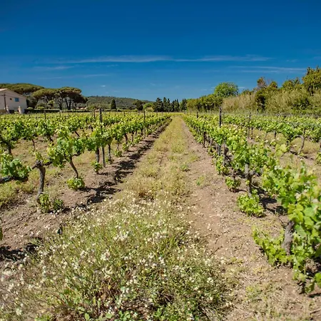 Les Romarins Casa de Férias Saint-Tropez